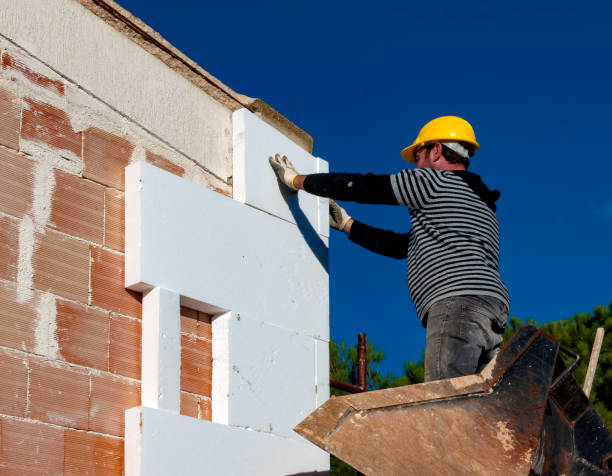 Best Geographic-Specific Insulation Services in Watseka, IL