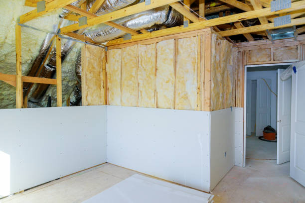 Best Geographic-Specific Insulation Services in Watseka, IL
