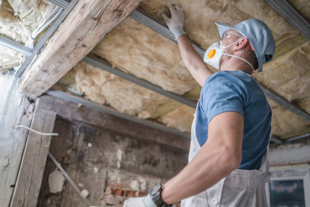 Types of Insulation We Offer in Watseka, IL