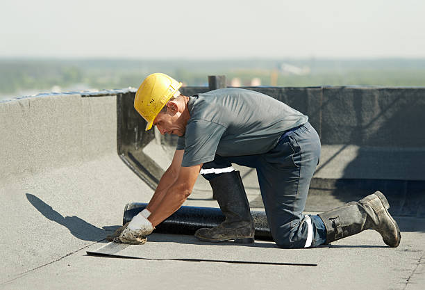 Best Specialized Insulation Services in Watseka, IL