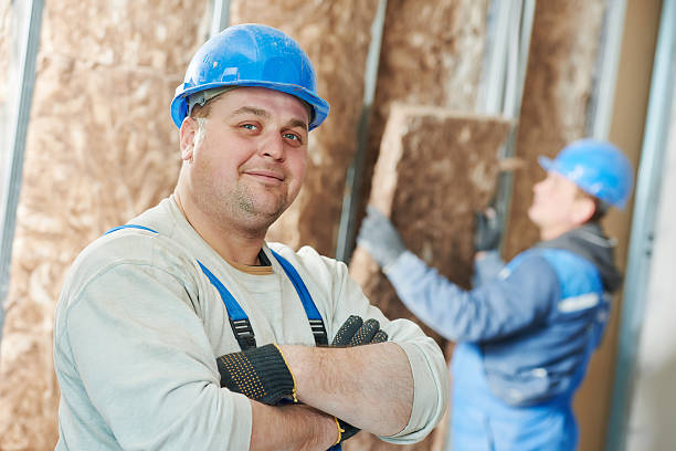 Best Eco-Friendly Insulation in Watseka, IL
