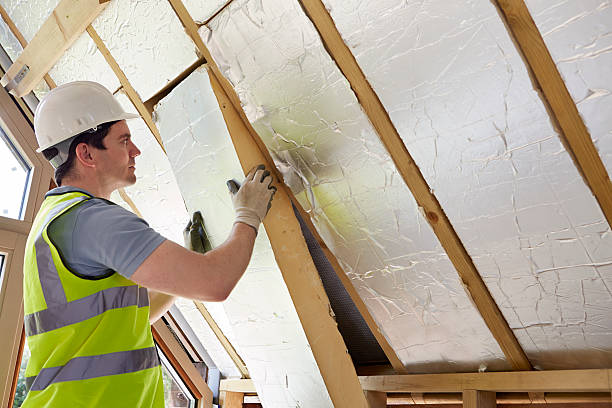 Best Residential Insulation in Watseka, IL